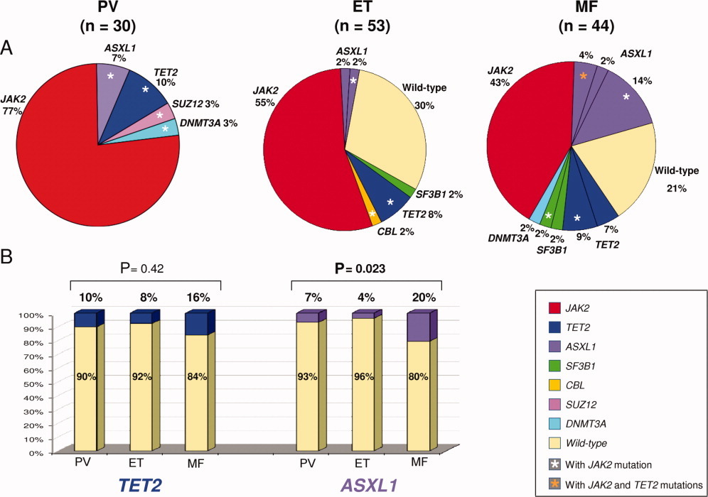 What About Genetic Mutations?